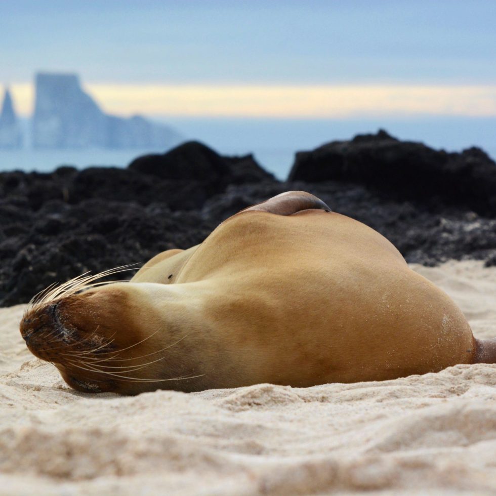 galapagos-tribute-luxury-yacht-cruise-routes
