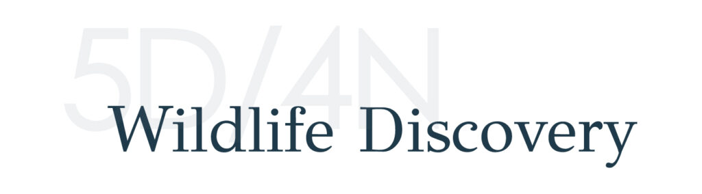 tribute-Wildlife-Discovery -B